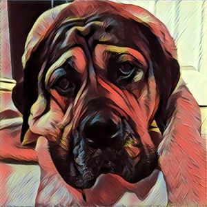 Meet your Posher, Christine