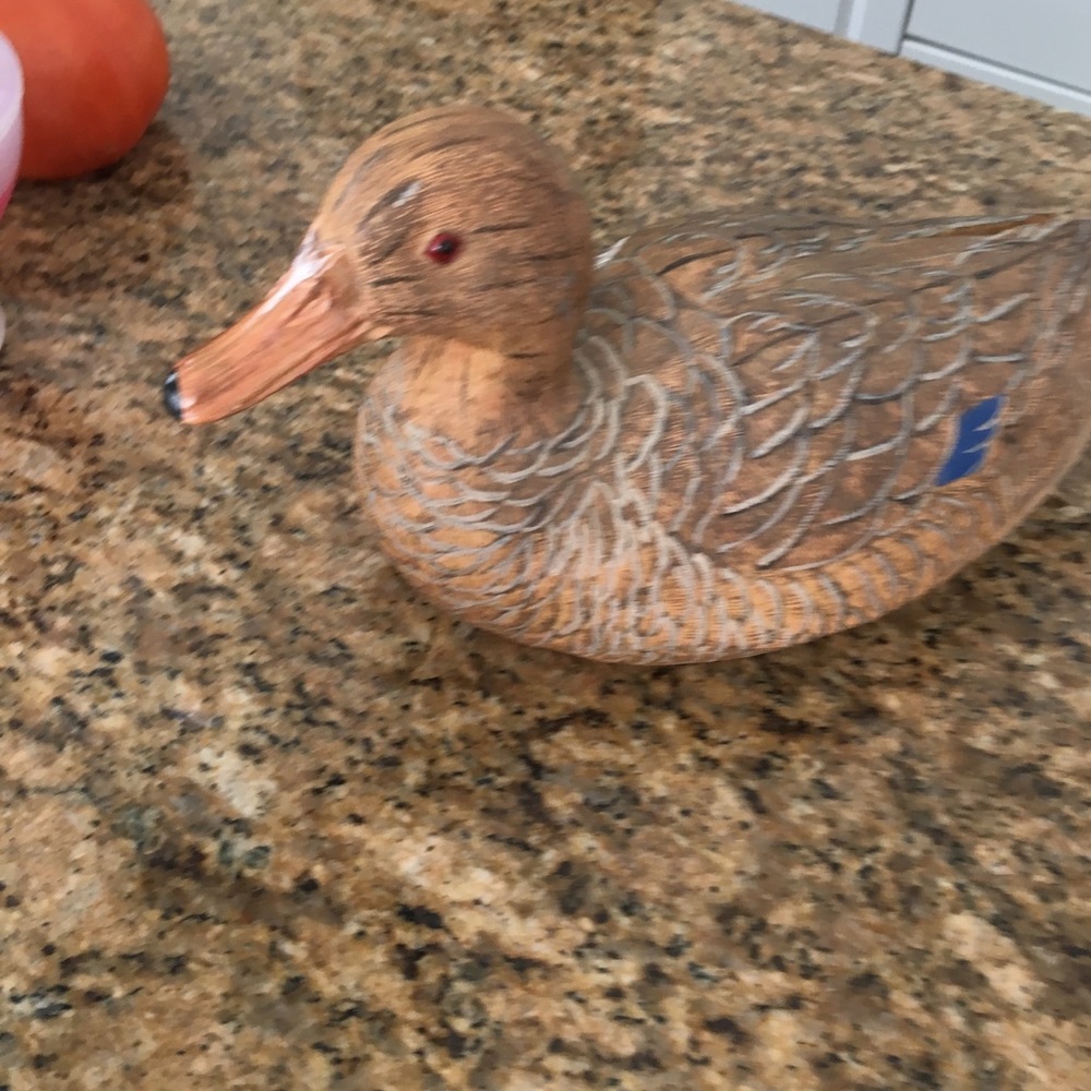 Wood duck mallard