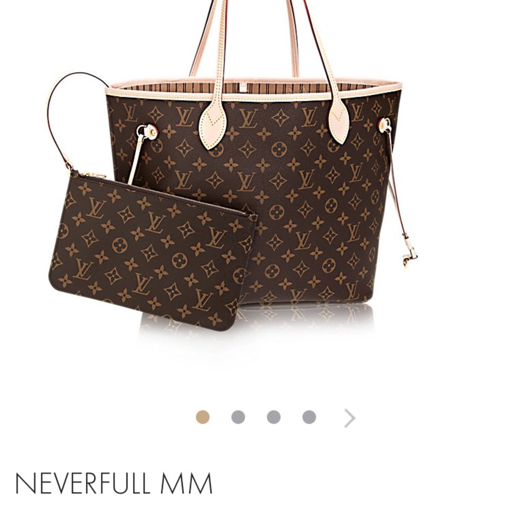 Louis Vuitton purse