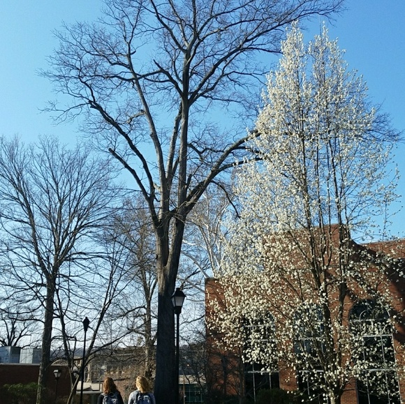 Meet your Posher, Dambi - Picture 3 of 3