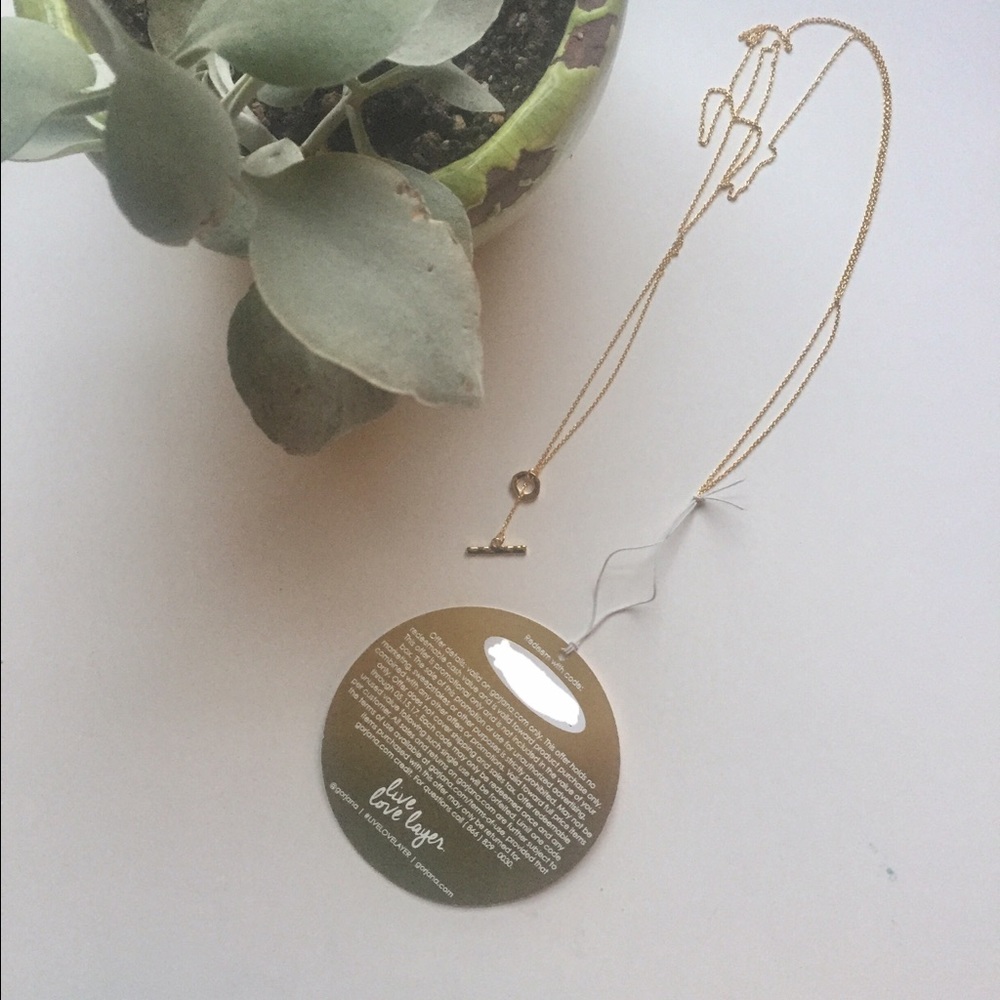Brand new, simple gorjana necklace