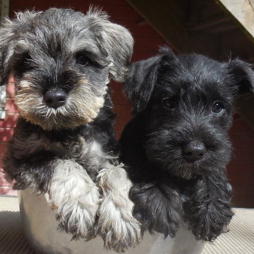 Meet your Posher, Barbara