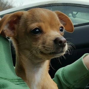 Meet your Posher, Heather