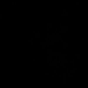 Meet your Posher, Joel