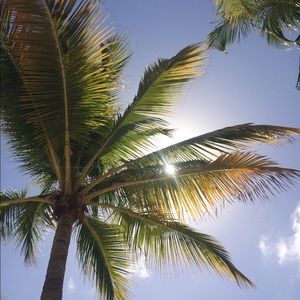 Meet your Posher, Ann