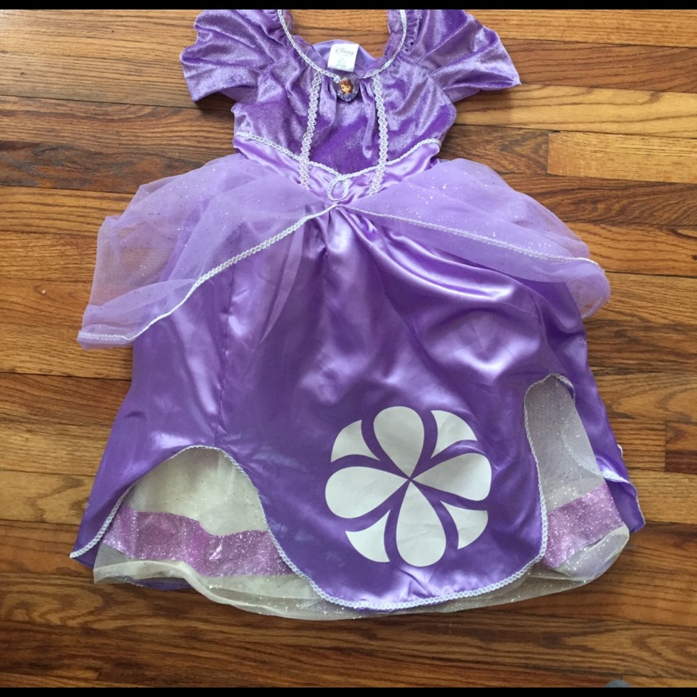 Disney princess Sophia gown