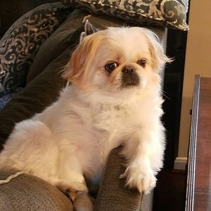 Meet your Posher, Wendy