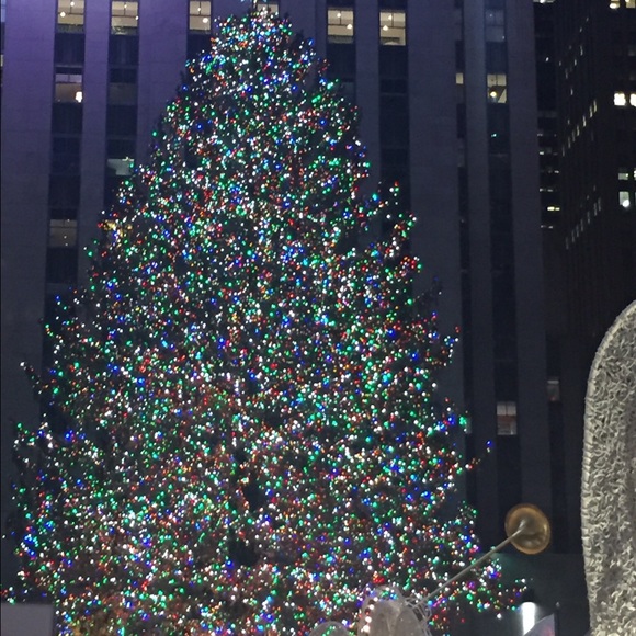 Meet your Posher, Danielle - Picture 1 of 1