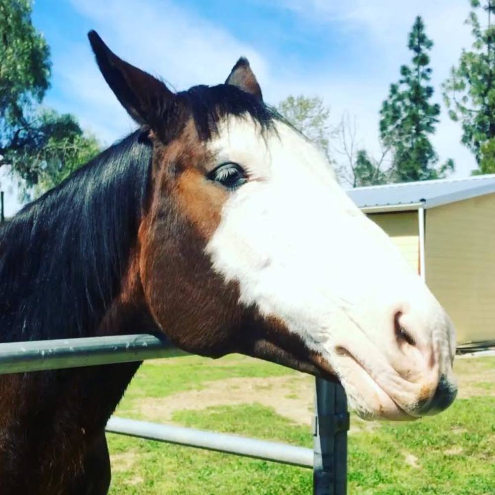 Meet your Posher, Kait