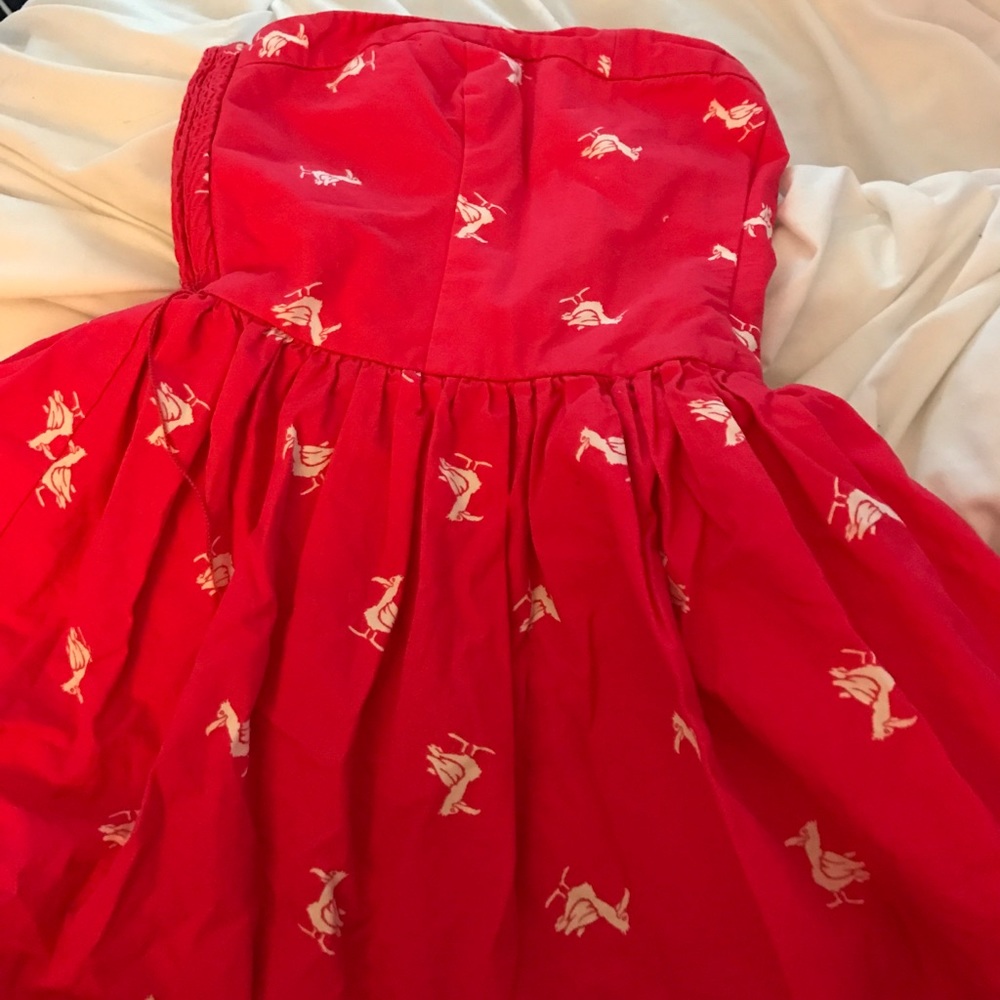 Hollister dress