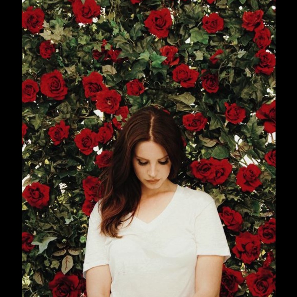 Meet your Posher, Sheridan