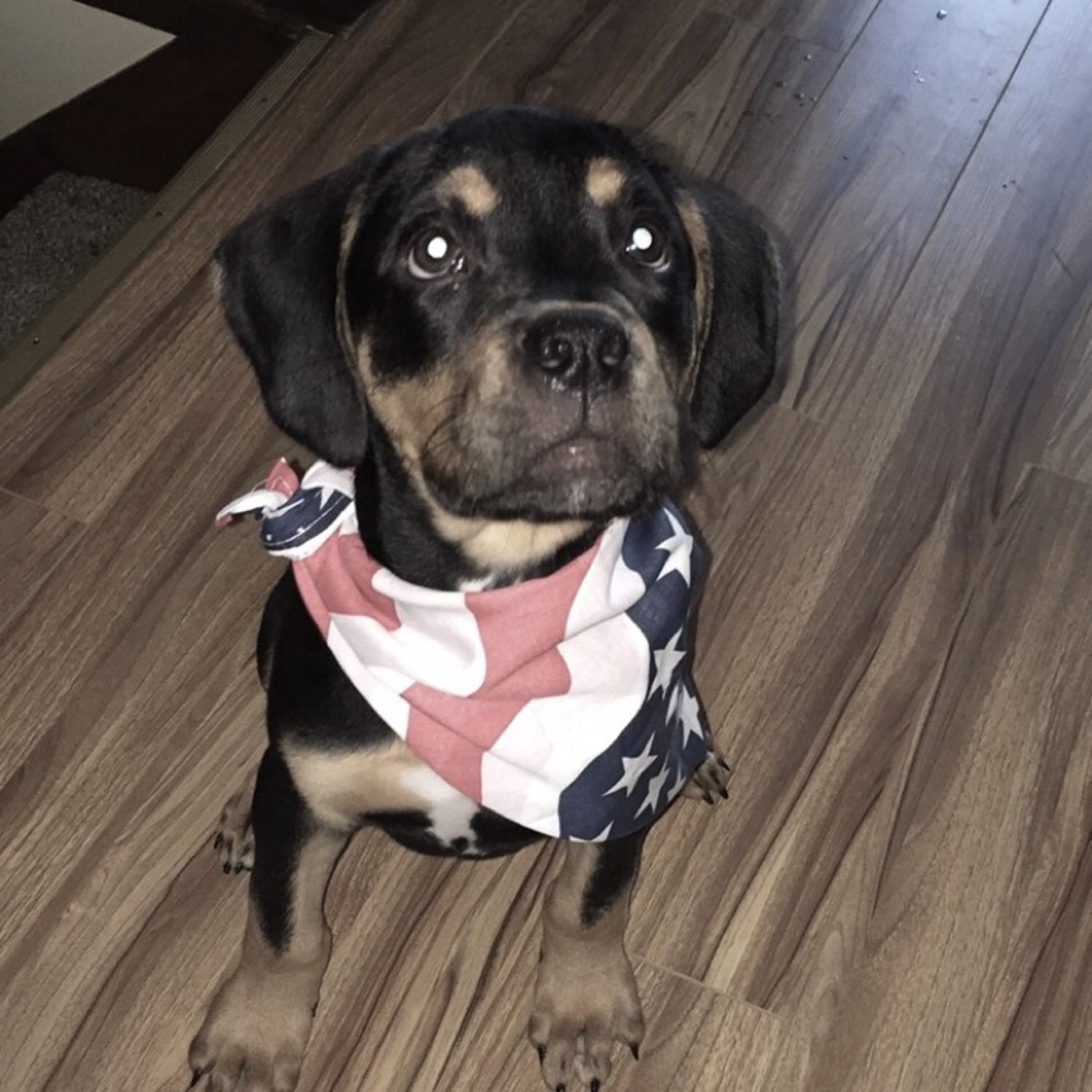 Meet your Posher, Meg