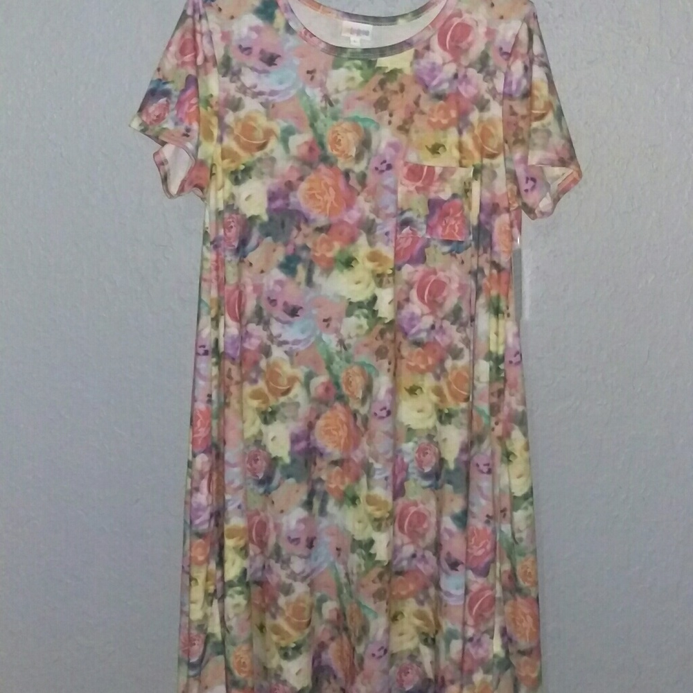 BNWT LuLaRoe Carly
