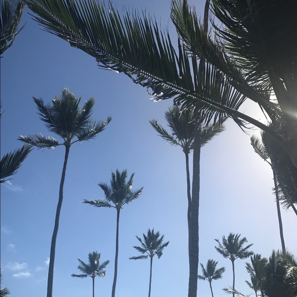 Meet your Posher, Joy!