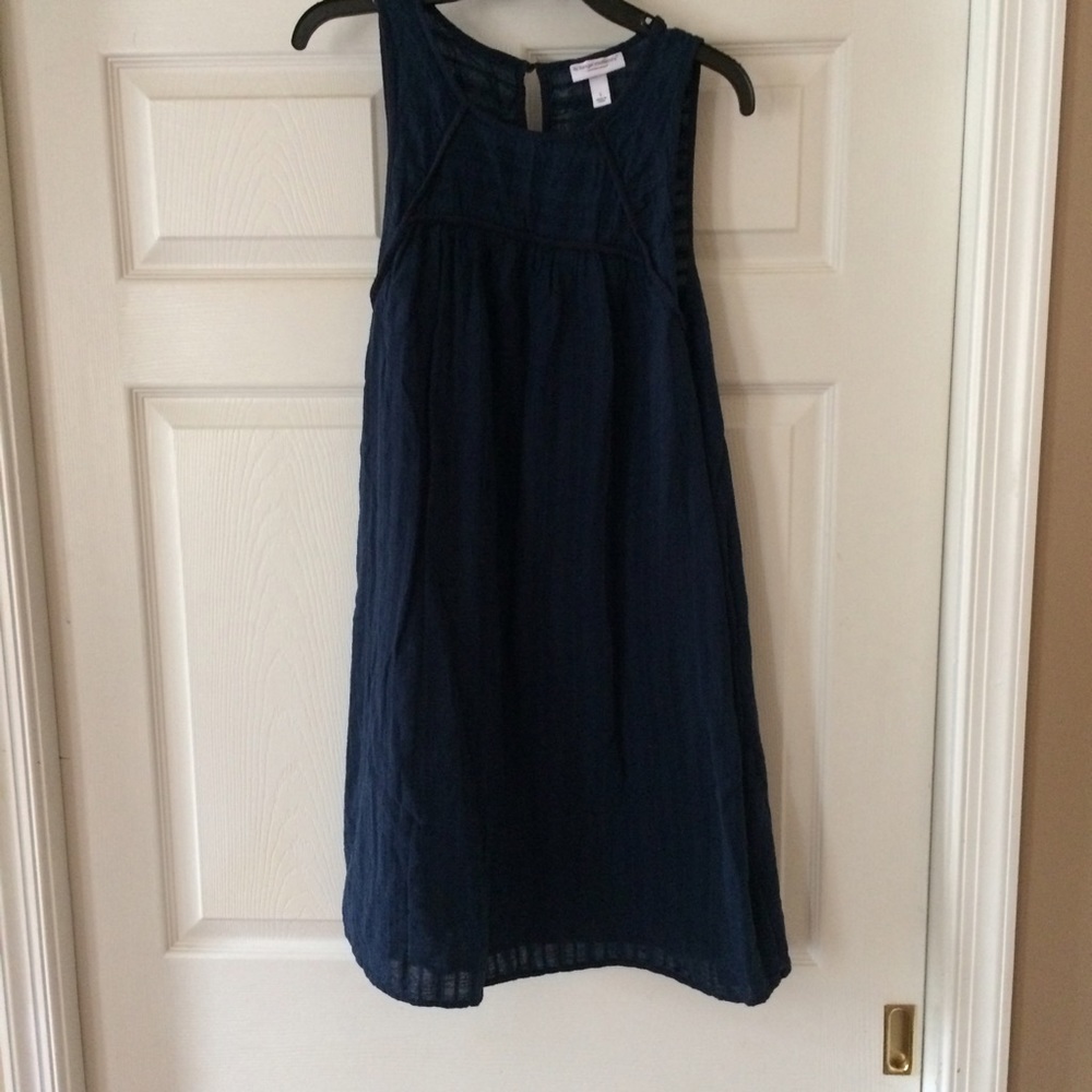 Liz Lange Maternity Shift Dress