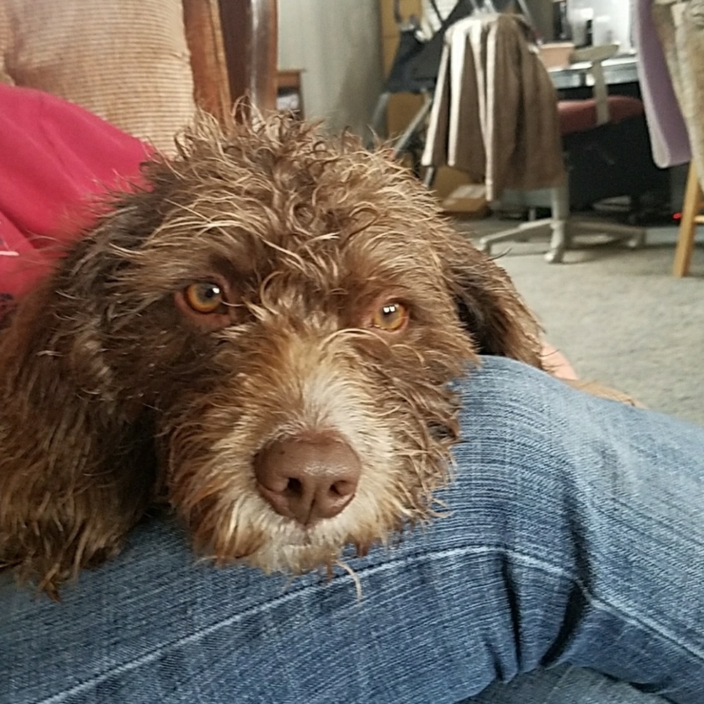 Meet your Posher, Jordon