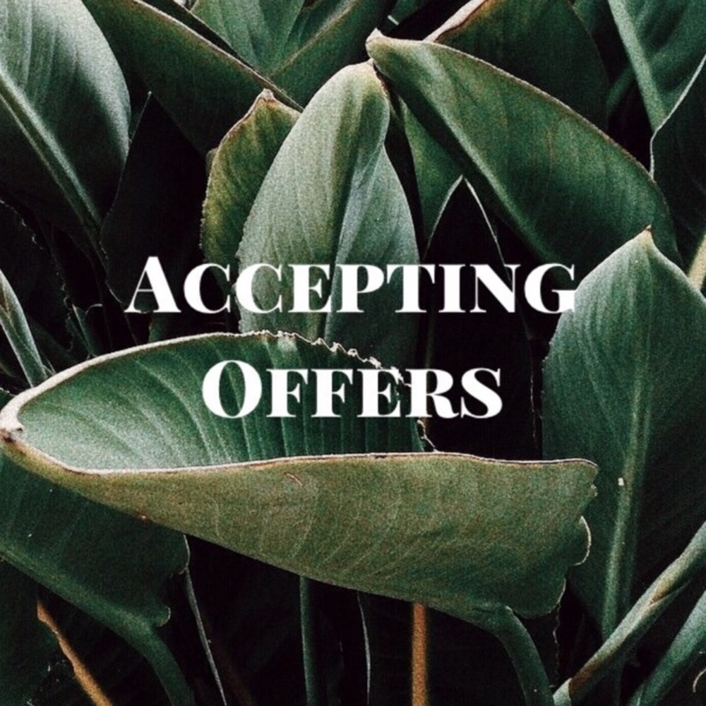 🌿 Accepting All Offers 🌿