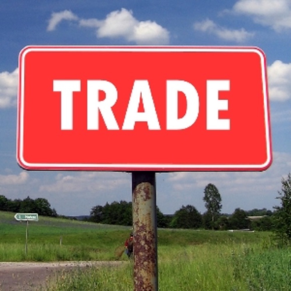 READ BEFORE BUYING OR TRADING