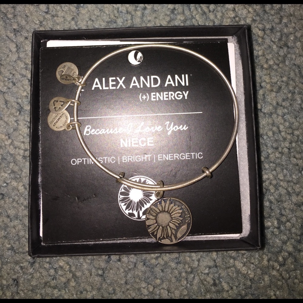 Alex and Ani silver niece bracelet