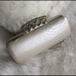 Snake Embossed Clutch