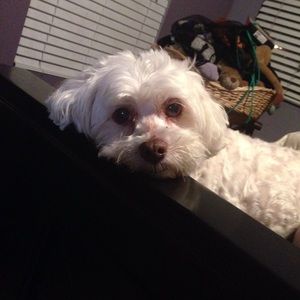 Meet your Posher, Raquel