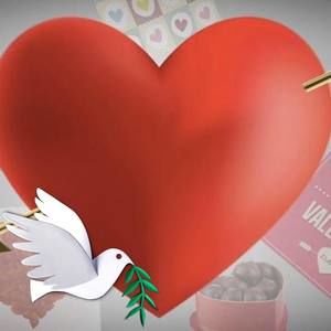 Meet your Posher, Birda