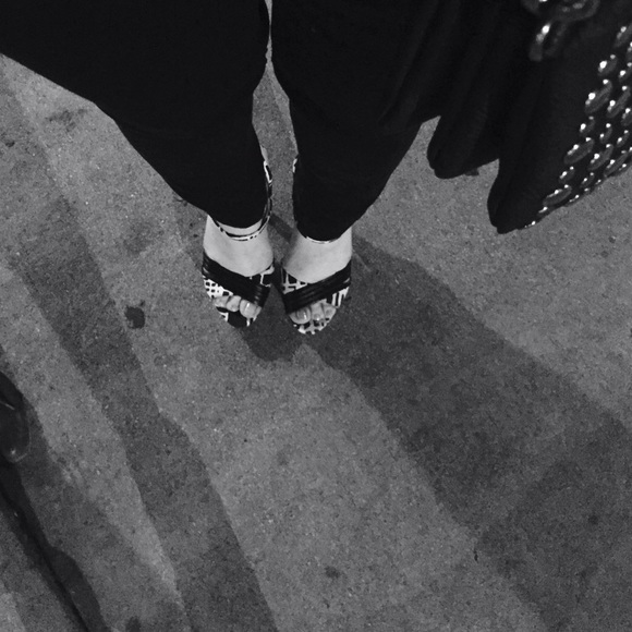 Meet your Posher, Lucky - Picture 1 of 1