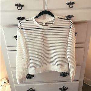 Forever 21 Sheer Crop Top