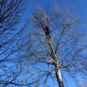 Meet your Posher, Alan