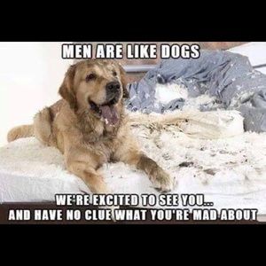 Meet your Posher, Joseph