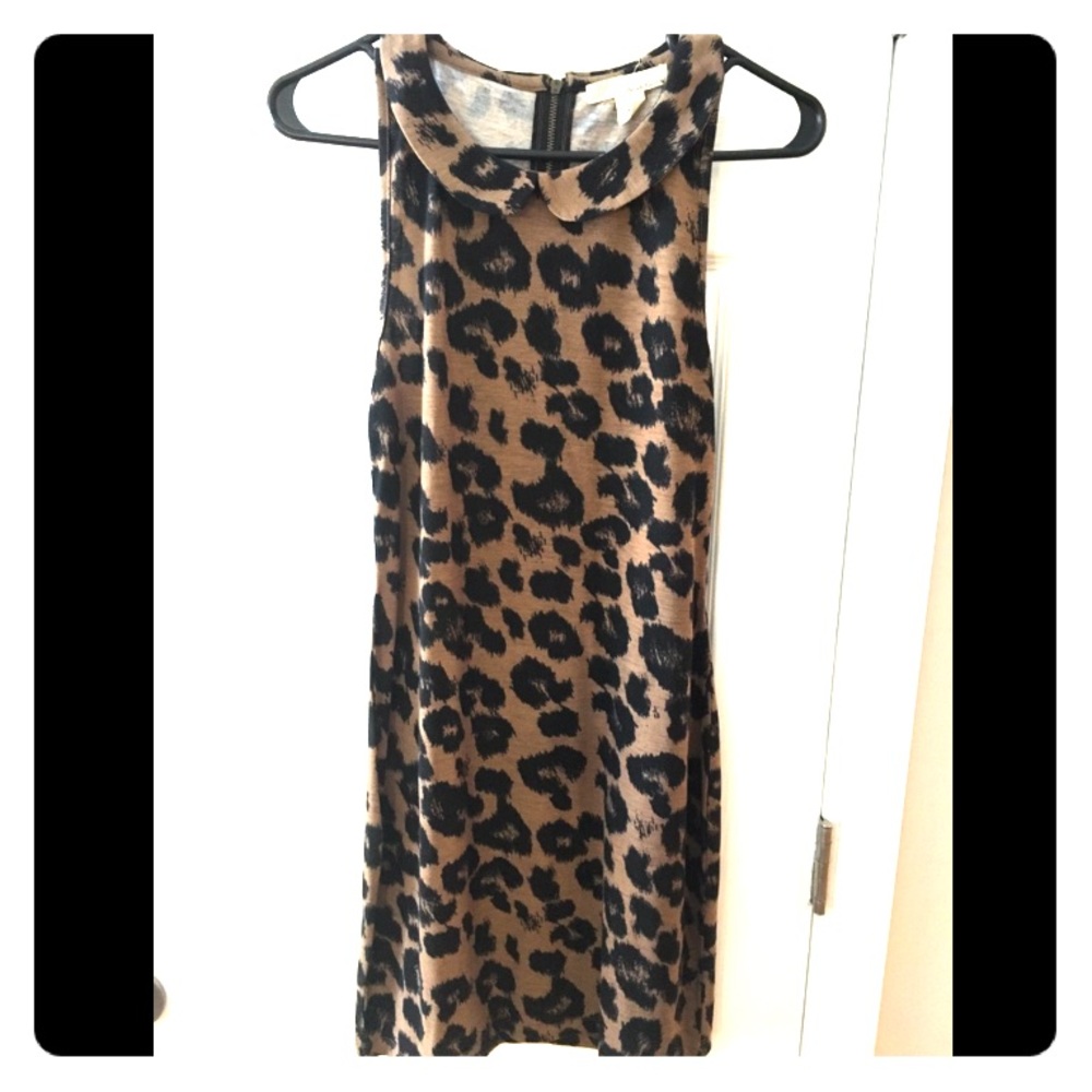 Animal print Peter Pan collar dress