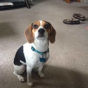 Meet your Posher, Lucy lui