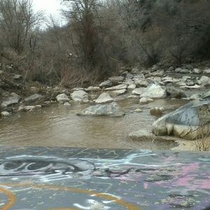 Meet your Posher, Gracie