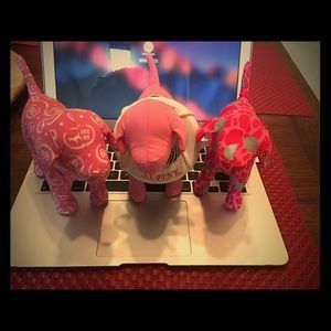 VS PINK Dogs