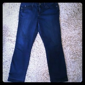 Level 99 lily crop stretch jeans
