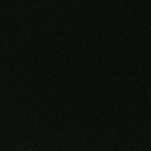 Meet your Posher, Terrell