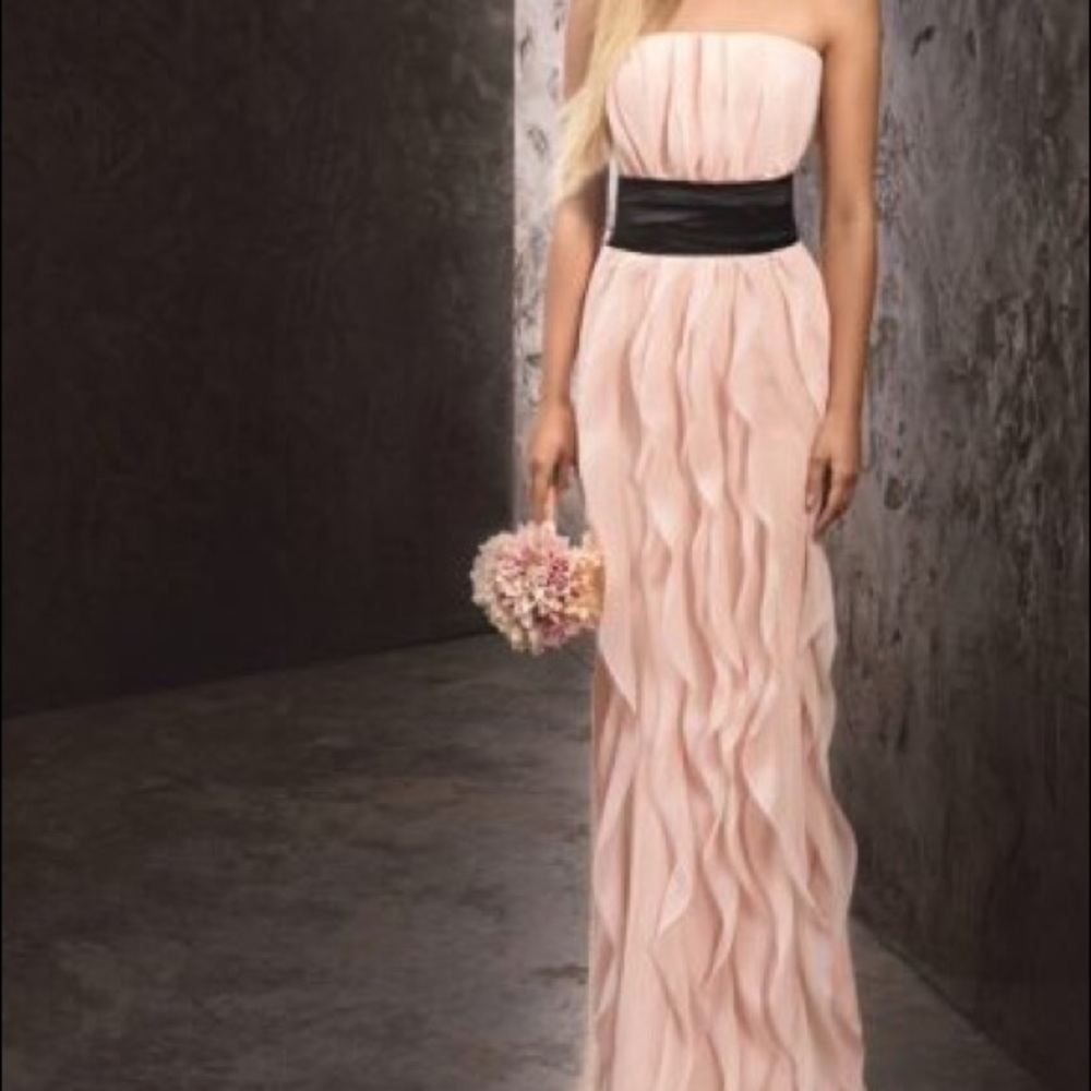 Vera Wang Chiffon Strapless Blush Dress