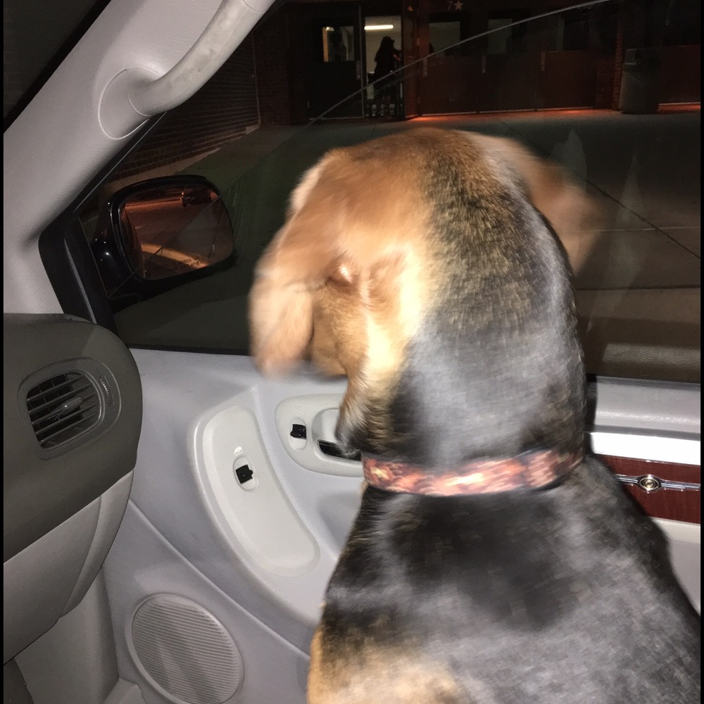 Meet your Posher, Annette