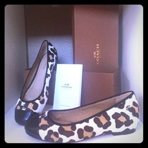 🔥Coach cap toe flats/ballerinas/ballet flats