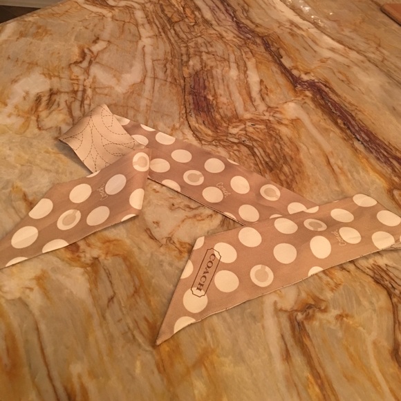 Silk Coach Ribbon - Picture 1 of 4