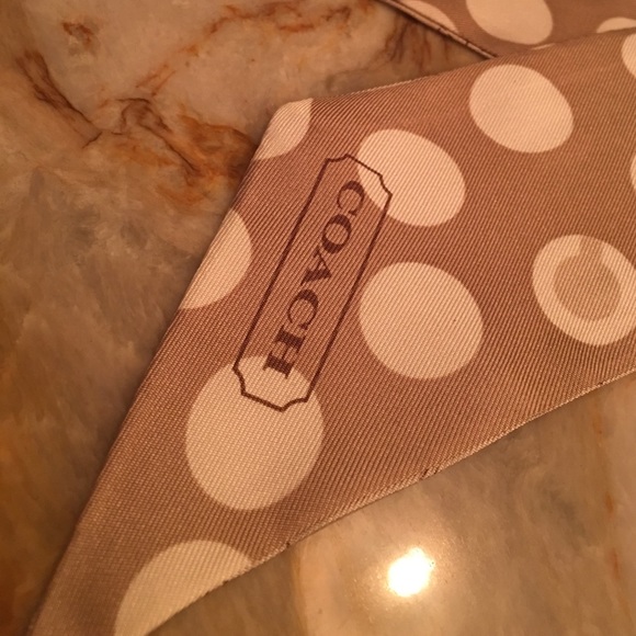 Silk Coach Ribbon - Picture 2 of 4