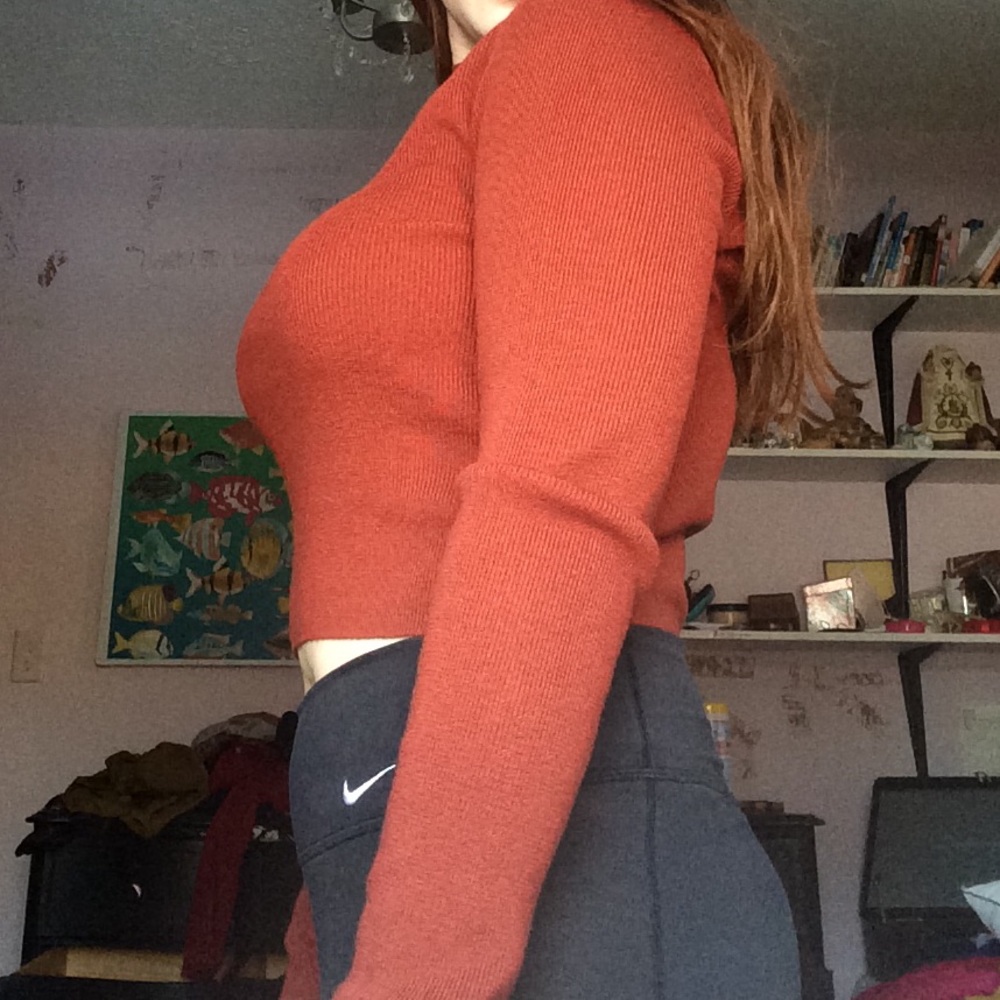 Auburn cropped mock neck sweater f21