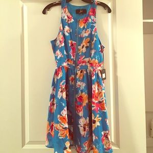 BB Dakota Zip Up Dress