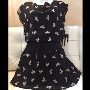 Jump Suit Mini skirt