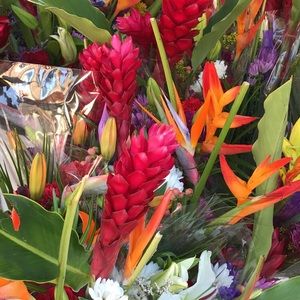 Meet your Posher, Kara