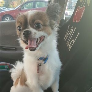 Meet your Posher, Sara