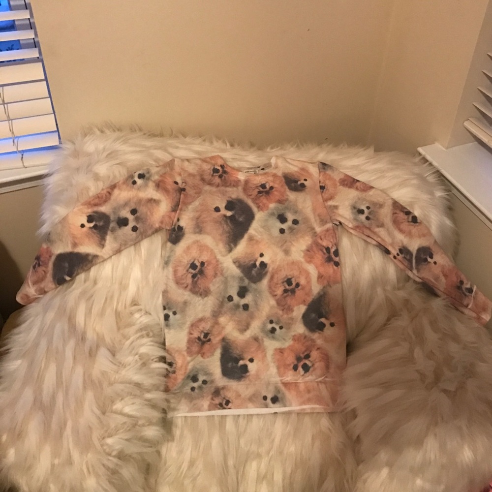 Pomeranian sweater