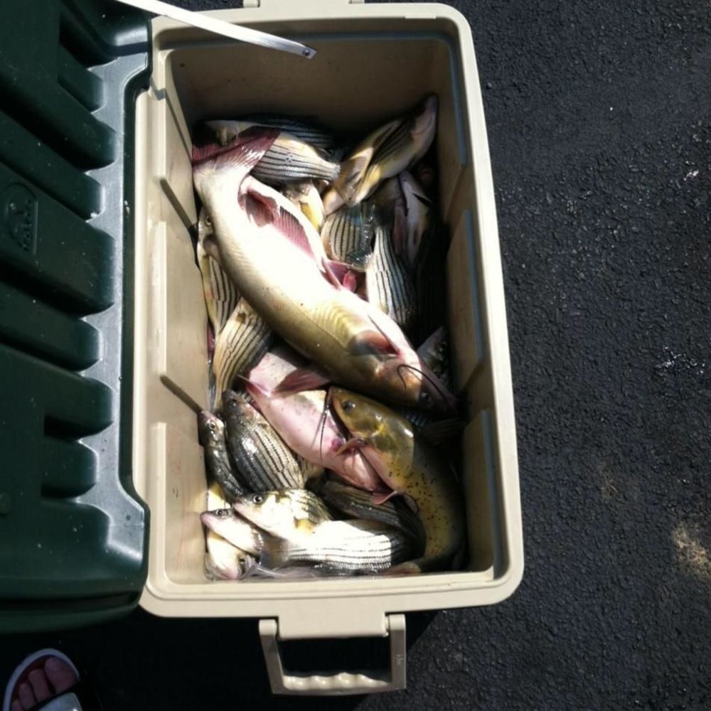 Meet your Posher, Brandon