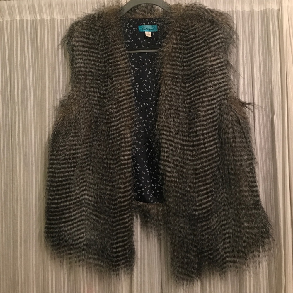 Fur Vest from Francesca's