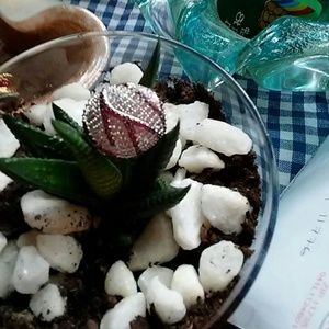 Size 9 Rhodolite Garnet and CZ Dome Ring